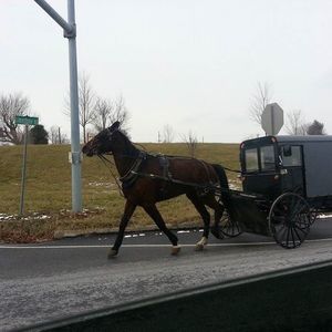 Meet your Posher, Katrina